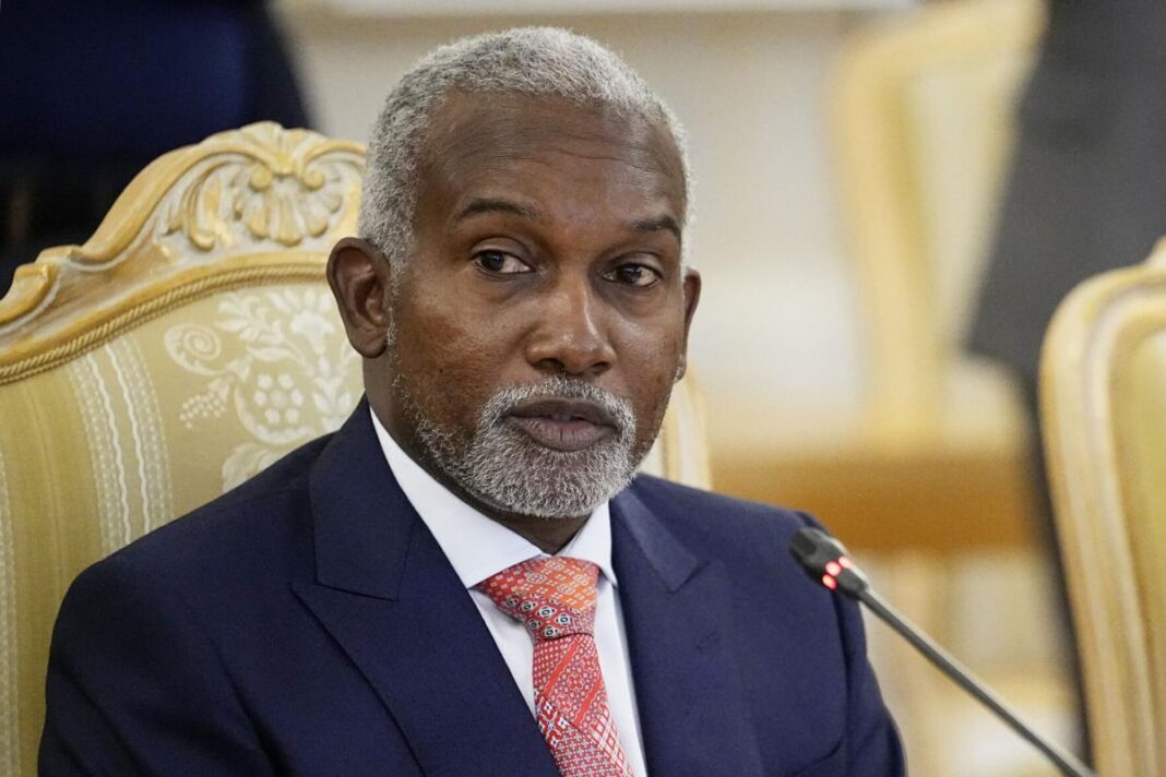 Presidency: Tinubu Did Not Halt 5-year US Non-immigrant Visas